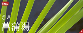 �Գ���ʤ��礦����ˤ������������θ��̤�ͳ��