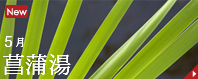 �Գ���ʤ��礦����ˤ������������θ��̤�ͳ��