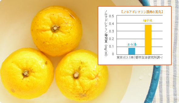 �椺��θ�ǽ