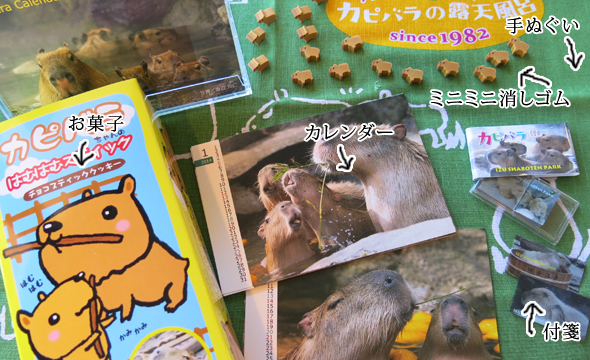 カピバラさんのお土産・グッズ