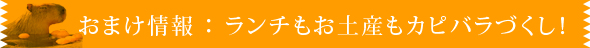 おまけ情報