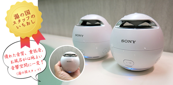 ˡ SONY SRS-X1