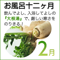 �卪���Ŋ������̂肫��I