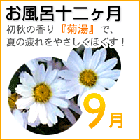 �����C�\�񃖌��@���H�̍���w�e���x�ŁA�Ă̔����₳�����ق����I
